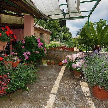 Bed And Breakfast Di Francia Vibo Valentia Exterior photo