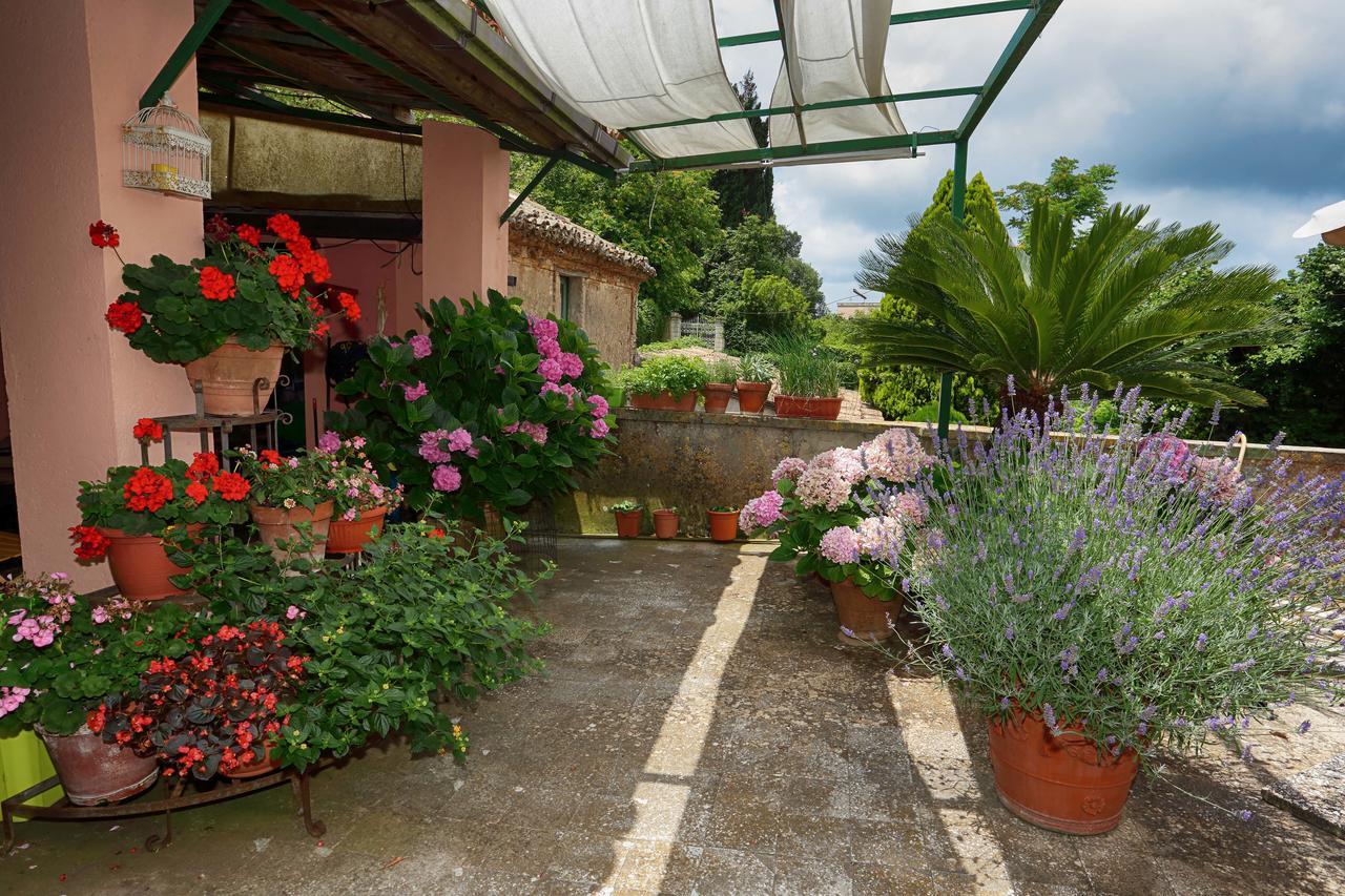 Bed And Breakfast Di Francia Vibo Valentia Exterior photo